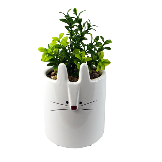 10cm Artificial Foliage Plant in Planter