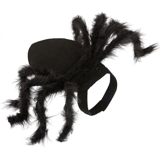 Pet Spider Costume (M)