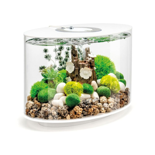 Biorb - Loop 15L Fish Aquarium mcr Lighting led White