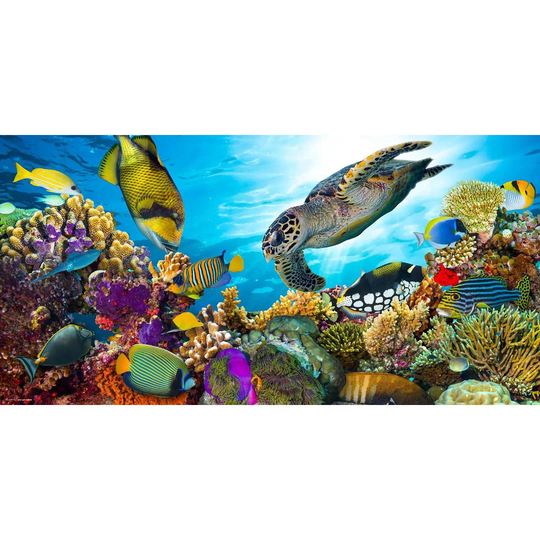 Underwater World Desk Pad