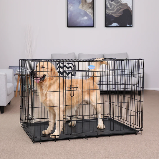 Lanny Foldable Metal Carrier 2 Doors Pet Cage