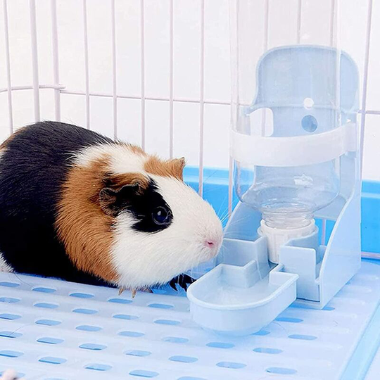 Pet Water Bottle, 500ml, Cage Water Dispenser, Portable, for Dog, Cat, Rabbit, Hamster, Small Animals (Blue)
