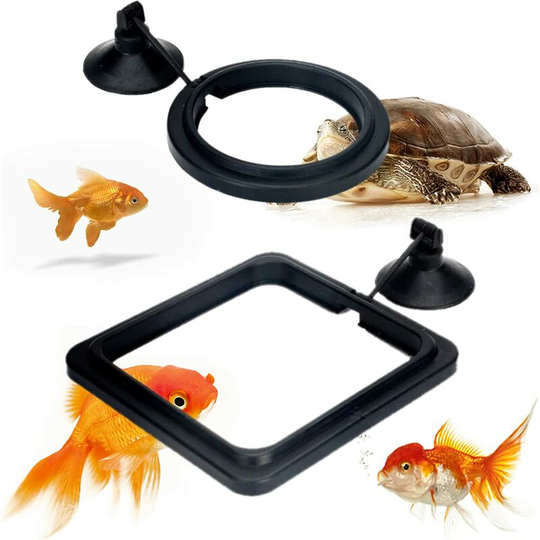 Fish Feeder Ring, Aquarium Fish Feeder Ring, Aquarium Feeding Ring, Aquarium Fish Food Rings, Fish Feed Safe Feeder with Suction Cup