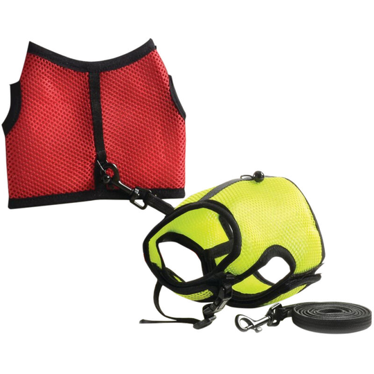 Small n Furry Walk n Vest n Leash (Large) (Assorted) - Assorted - Sharples