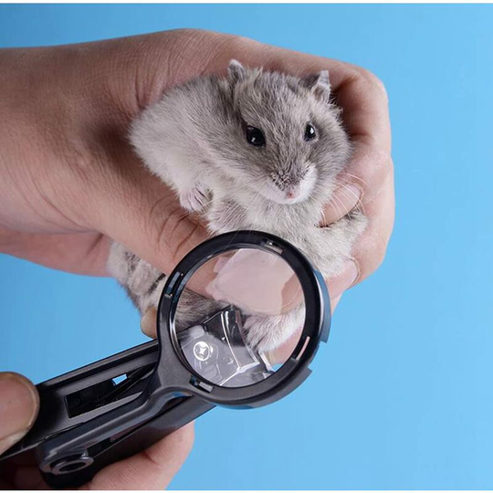 13treize - Guinea Pig Nail Clippers with Magnifying Glass Stainless Steel Claw Toenail Trimmer for Small Animal Hedgehog Rabbit Hamster Ferret