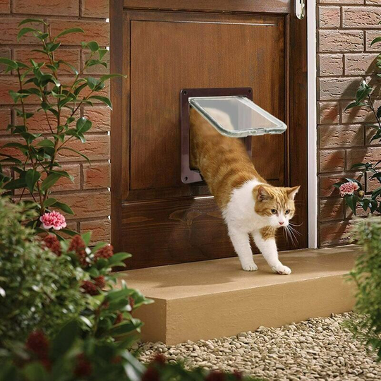 Cat Flap for Cats Dogs Small Cat Flap Microchip Door 4-Way Lockable Easy to Install.//
