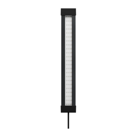 Wacissa Aquarium Accessory