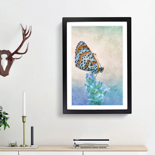 Butterfly Perched upon a Flower - Picture Frame Graphic Art Print