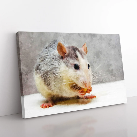 Rat - Wrapped Canvas Painting