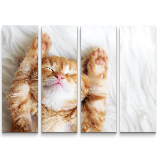 Sleeping Red Kitten Photographic Print Multi-Piece Image on Canvas