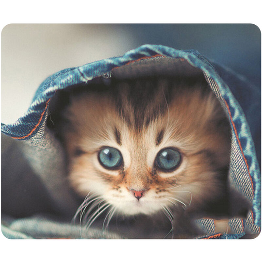 CAT-2 Mouse Pad Cute Cat Picture Anti-Slip Gaming Mouse Mat Replacement for pc Computer Laptop MacBook