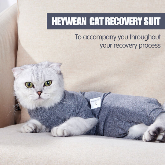 Pet cat hair prevention four feet clothes cat clothes Cat clothes Cat after surgery clothes cat neutering clothes 30*26cm