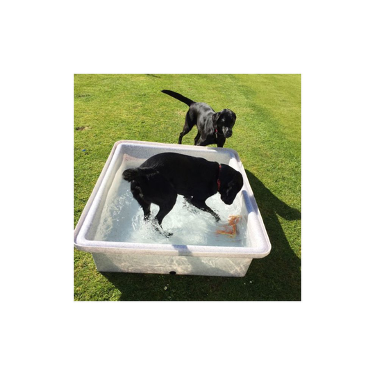 (Large) Dog Splash Outdoor Pool Summer Garden Play Cool