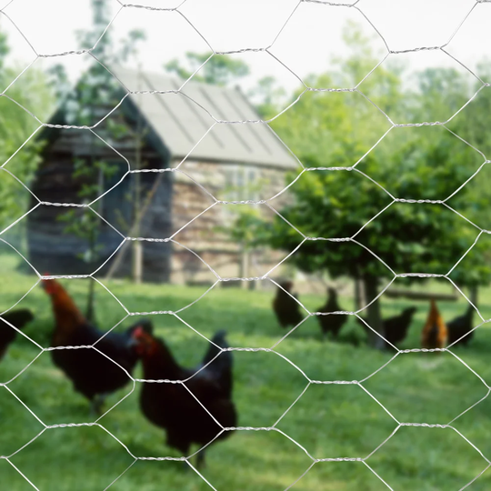 Herwig Wire Fence