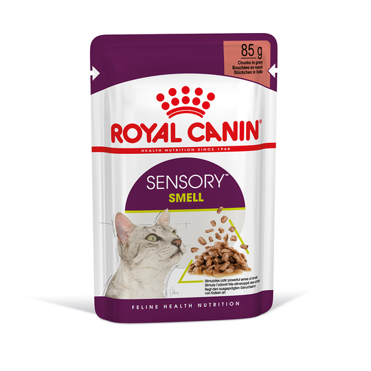 Royal Canin Sensory Smell in Gravy - 12 x 85g