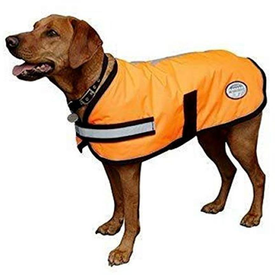 Weatherbeeta - Reflective Parka 300d Dog Coat (75cm) (Orange) - Orange