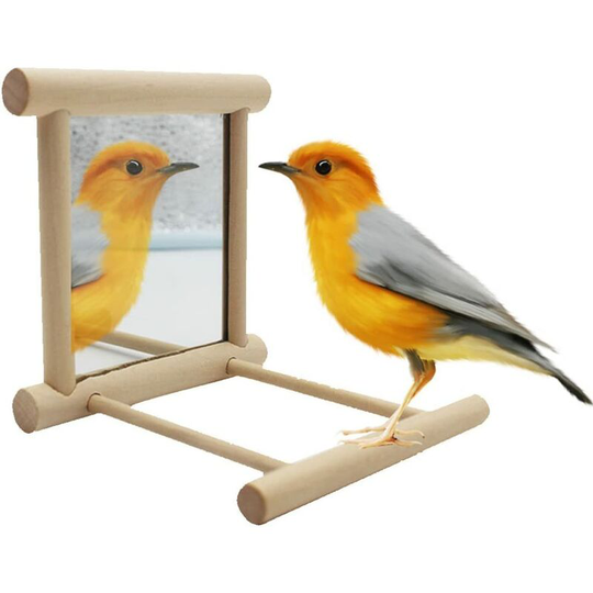 Bird perch with mirror for parrots, parakeets, finches, lovebirds, gray macaws - made of wood