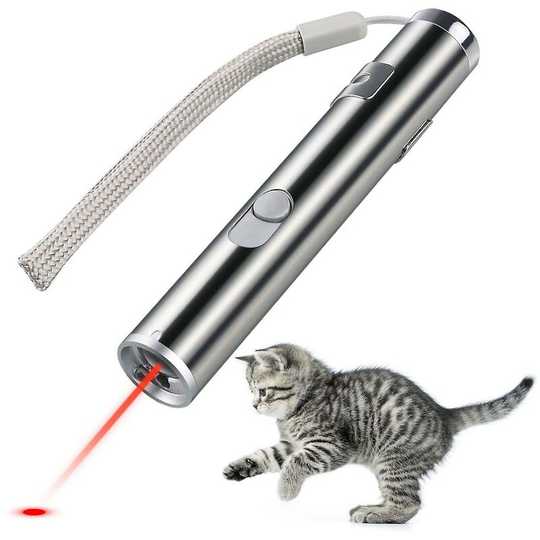 Usb rechargeable pet toys cat training laser pointer with led flashlight - ssxjv