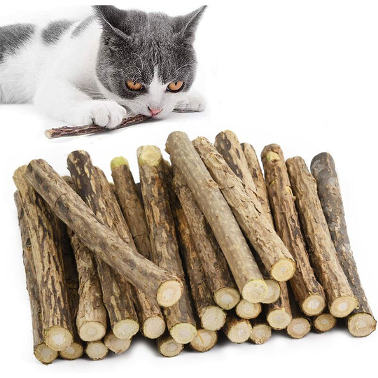 30 Catnip Toys Cat Kitten Catnip Chew Peppermint Cat Teeth Cleaning Natural Health Care Cat Teeth Cat Play Catnip Sticks