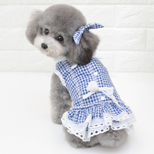 Spring and summer new pet clothes puppy clothes dog skirt pet skirt Teddy Boomerang vip skirt bow plaid skirt - blue and white check (m) back length