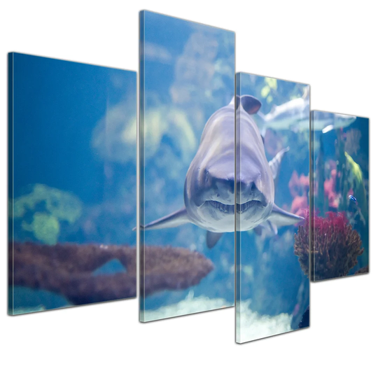 Shark III 4-Piece Photographic Print Set on Canvas