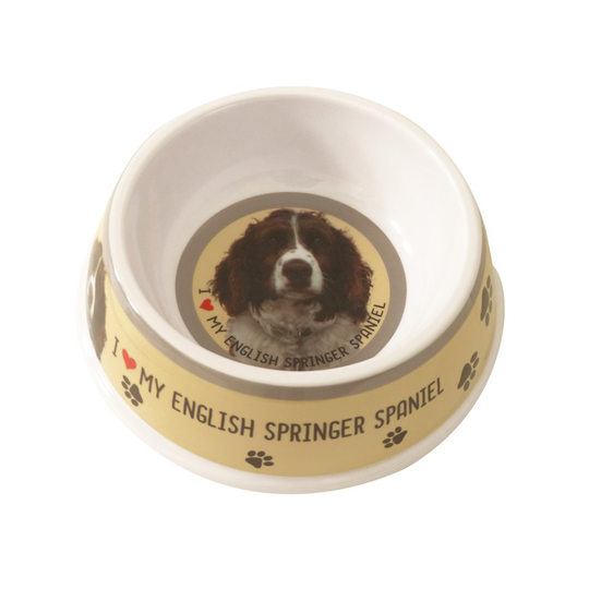 English Springer Spaniel Dog Bowl