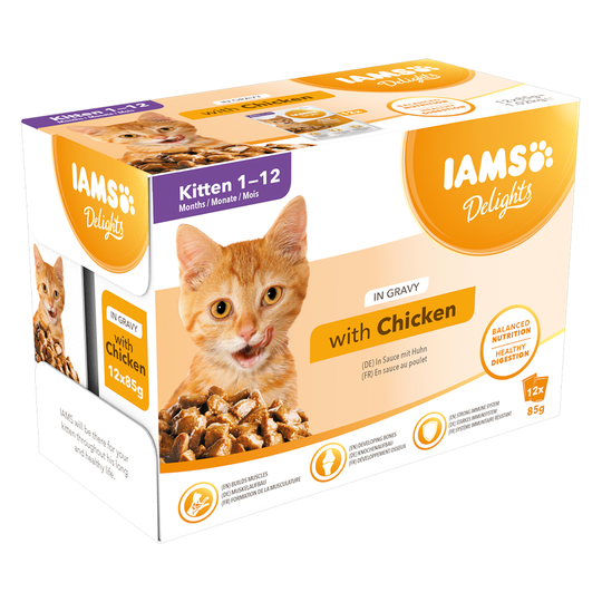 IAMS Delights Kitten - Chicken in Gravy - Saver Pack: Chicken in Gravy (48 x 85g)