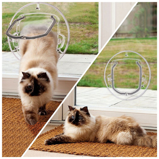 Creative Pet Supplies pc Material Round Glass Door Cat Puppy Door Hole Factory Direct Selling Pet Glass Door 30cm × 30cm × 4cm