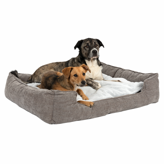 Dog Bed Austin Memory Foam - 110 x 90 x 24cm (L x W x H)