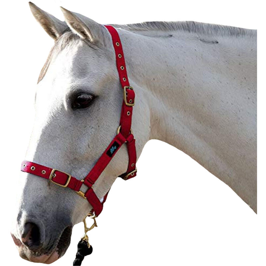 Holly Fully Adjustable Head Collar (Full) (Red) - Red - HY