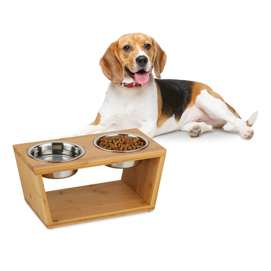 Valerie Double Elevated Feeder