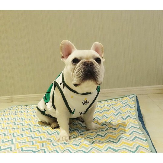 Dog clothes Fat Dog spring and summer models of cotton undershirt cartoon elephant elastic-elephant undershirt (m) (coat length 33cm chest 54cm neck