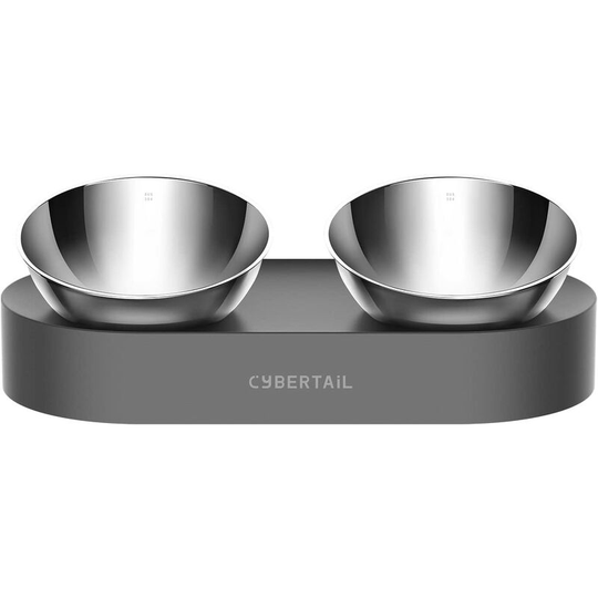 Stainless Steel Elevated Cat Bowl, Tilted Cat Food Bowls, Non-Slip No-Spill Feeding Bowls for Cats and Small Dogs
