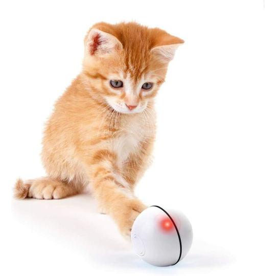 Interactive Cat Toy, Intelligent Automatic Cat Ball, 360 Degree Rotating Ball, Refillable Cat Ball with led Light for Kittens (White) - Litzee