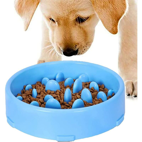 Slow Feeding Bowl for Dogs, Slow Feeding Bowl, Anti Glutton Bowl for Dog Cat, Promotes Healthy Eating and Slow Digestion (Blue)