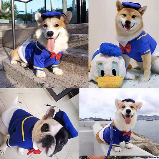 Benobby Kids - Dog costume 1 piece, Donald Duck dress up and hat for pet student uniform costume funny clothes with adjustable hat for dog and cat