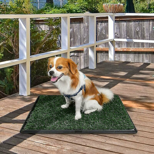 Pet Dog Toilet Pet Dog Toilet Dog Toilet Washable Puppy Toilet with Grass Mat 51x63cm