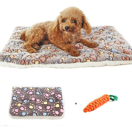 Washable Dog and Cat Bed Mat with Cute Print - Thick and Soft Blanket for All Seasons (49 x 32cm)