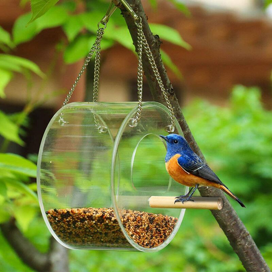 Wild Bird Feeder Transparent Acrylic Window Bird Feeder Round Semi-enclosed Bird Feeder Station Window Hanging-Type Birdhouse with Metal Chain for