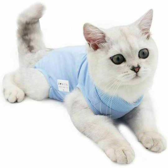 Cat Recovery Vest Anti-lick Kitten Medical Jumpsuit Suitable for Abdominal Rim Wounds or Skin Diseases Weaning and Post-surgical Protection(L, Blue)