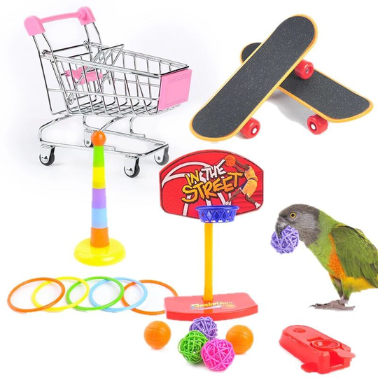 Parrot Toy Bird Toy Skateboard Cart Ring Toy Relieve Emotion Puzzle