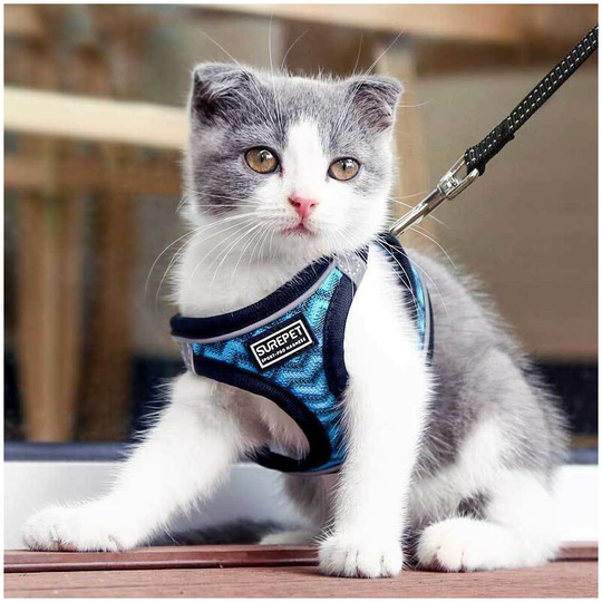 Cat Harness with Leash, Anti Escape Cat Harness, Adjustable Cat Harness with Reflective Coating Leash for Puppies or Cats Outdoor Walks