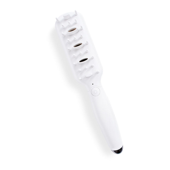 Pet Deodorant Brush for Dogs and Cats, Electric Ozone Generator Massage Comb for Rabbit Puppy Cat Small Animals and Pet Disinfection white