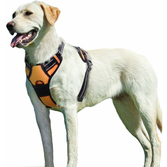 Rhafayre - Dog Harness m, Anti-Pull Dog Harness, Easy to Put on, No Handle Control, Reflective Dog Arnet, Breathable, Durable, Dog Harness, Medium