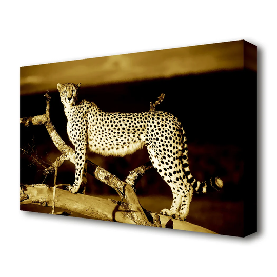 'Leopard Perch Sepia Wildlife' - Wrapped Canvas Photograph Print