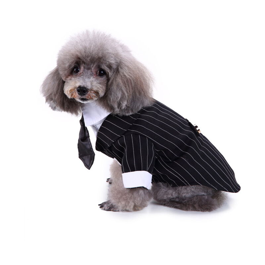 Pet Clothes Dog Costumes, Pet Dresses, Striped Tuxedos, Size xl - Muff