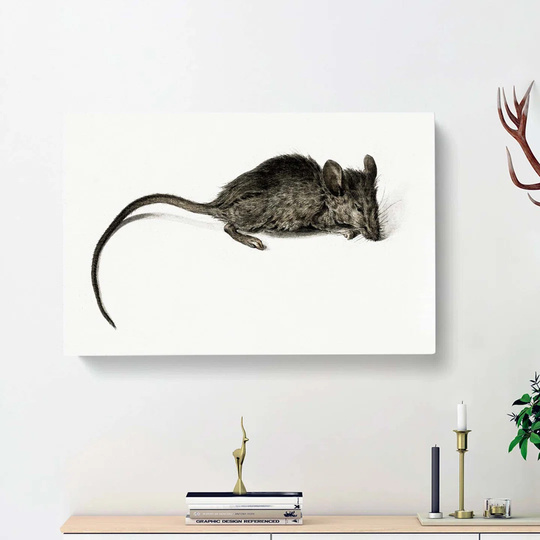 Mouse by Jean Bernard - Wrapped Canvas Painting Print
