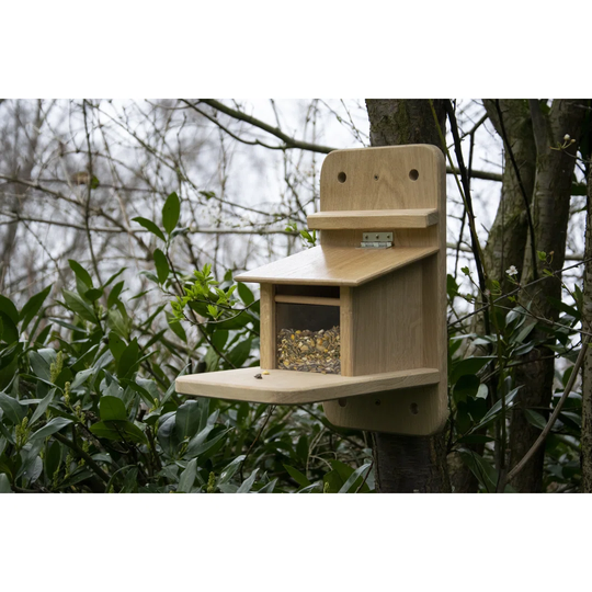 Amoha Squirrel Feeder