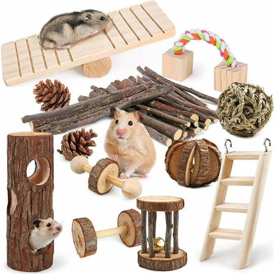 Echoo - Lot de 12 Jouets à mâcher en Bois Naturel pour Petits Animaux Jouets de Hamster pour Les Soins Dentaires Cochon d'Inde Lapin Gerbille