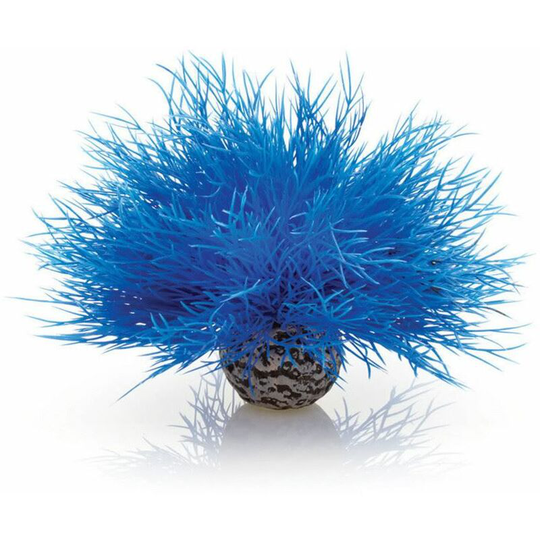 Sea Lily, Blue - Biorb